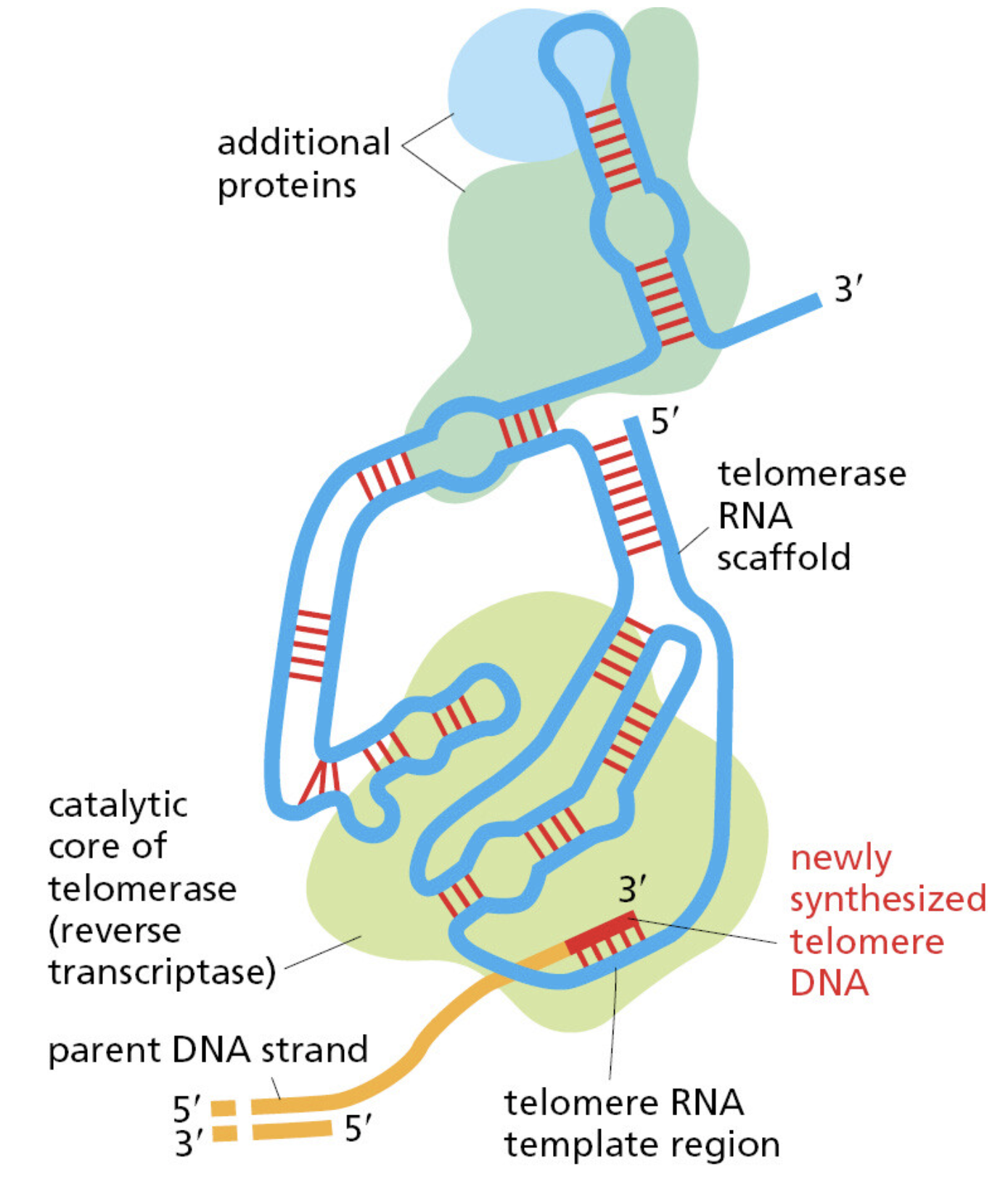 Figure 5-33.png